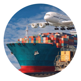 🌐Import Export 